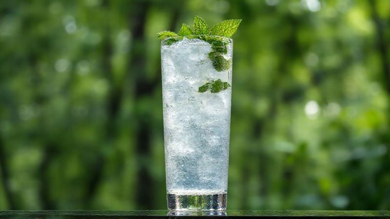 森の香りをイメージさせる、ミントを添えた爽快なウイスキーハイボール。背景には新緑の森が広がる